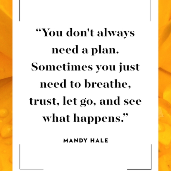 Meet your Posher, Donna - Picture 6 of 6